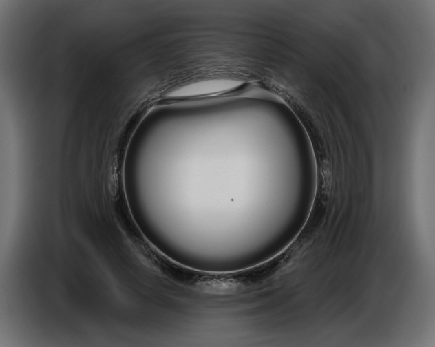 X0000086780642200705041529