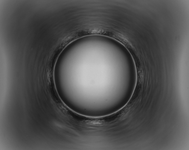 X0000086780643200705041529