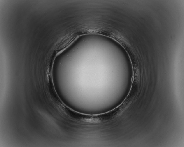 X0000086780644200705041529