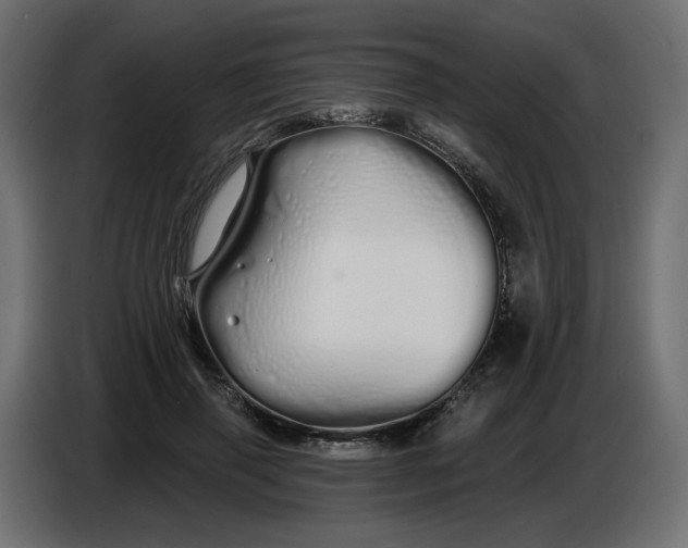 X0000086780645200705041529