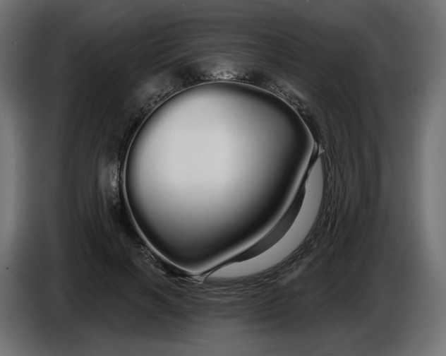 X0000086780646200705041529