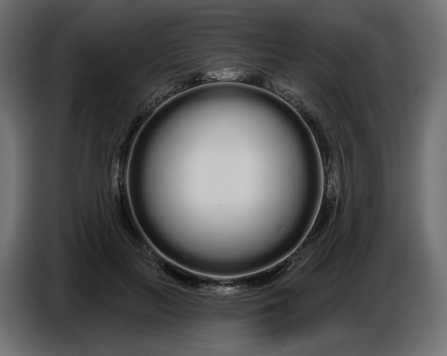 X0000086780647200705041529