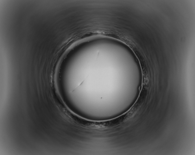 X0000086780648200705041529