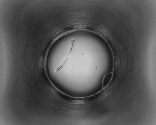 X0000086780649200705041529