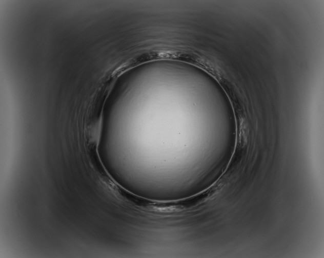 X0000086780650200705041529