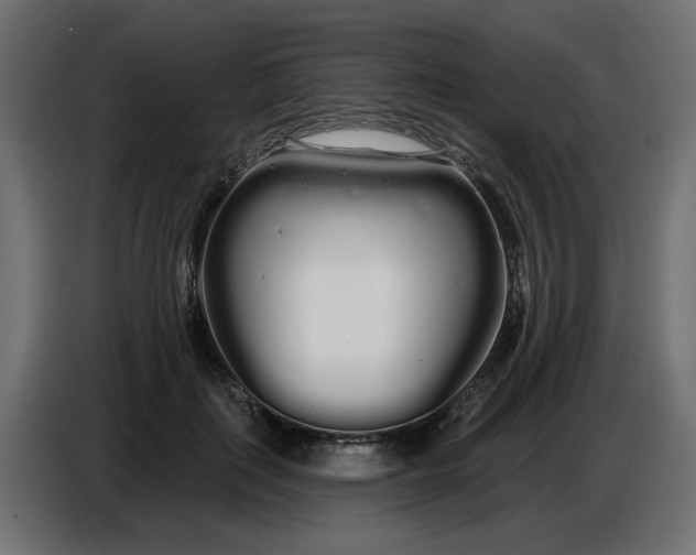 X0000086780651200705041529