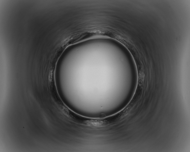 X0000086780652200705041529