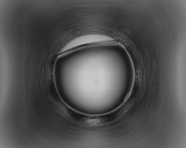 X0000086780653200705041529