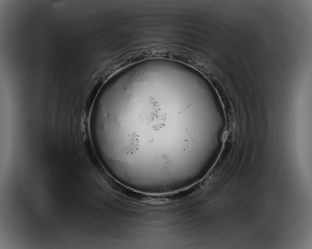 X0000086780654200705041529