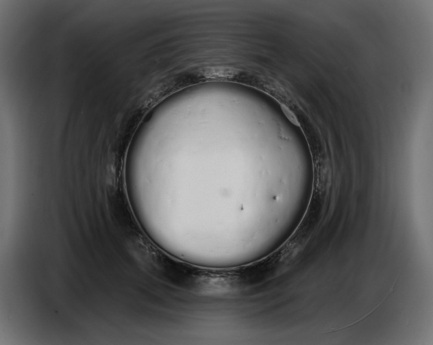 X0000086780655200705041529