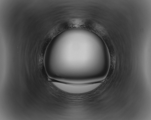 X0000086780657200705041529