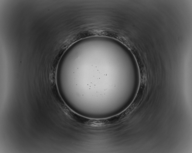 X0000086780658200705041529