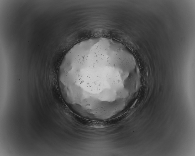 X0000086780659200705041529