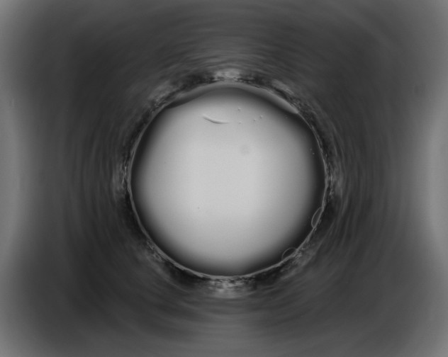 X0000086780660200705041529