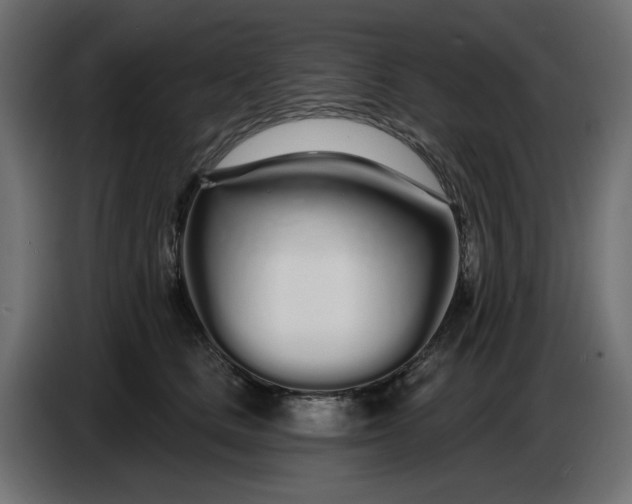 X0000086780661200705041529