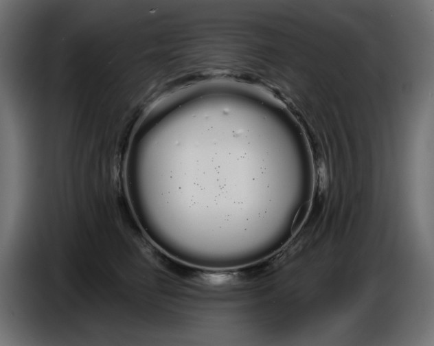 X0000086780662200705041529