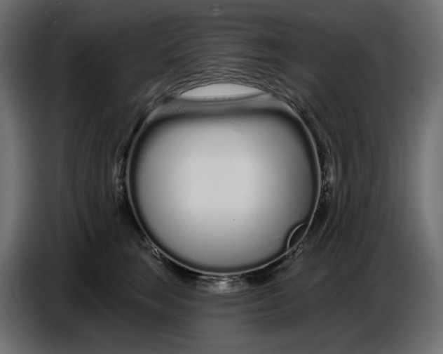 X0000086780663200705041529