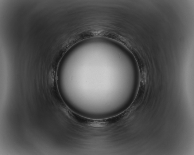 X0000086780664200705041529