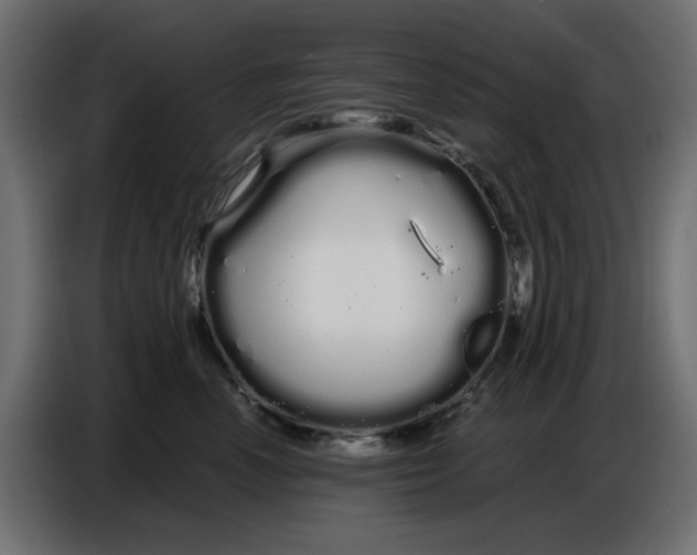 X0000086780666200705041529