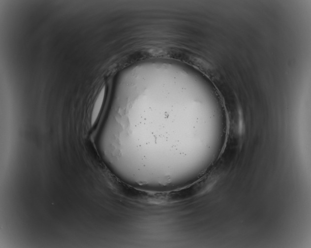 X0000086780667200705041529