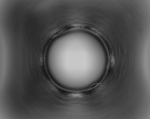 X0000086780668200705041529