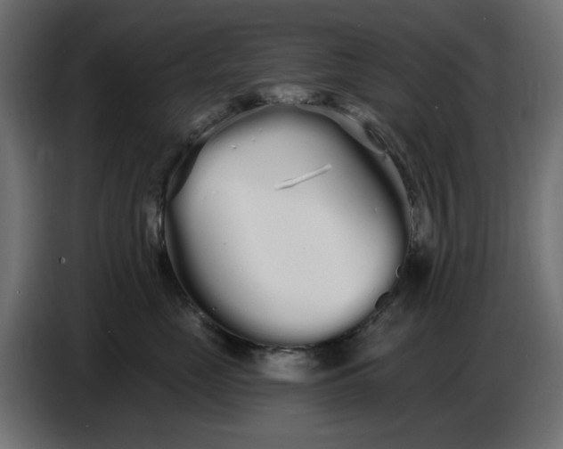 X0000086780669200705041529