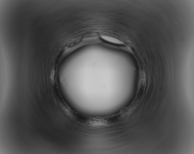 X0000086780670200705041529