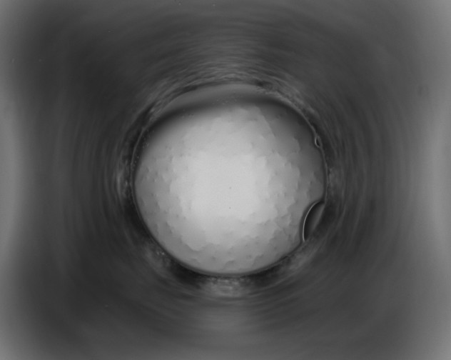 X0000086780671200705041529