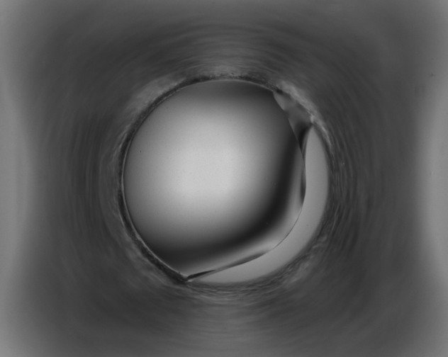 X0000086780673200705041528