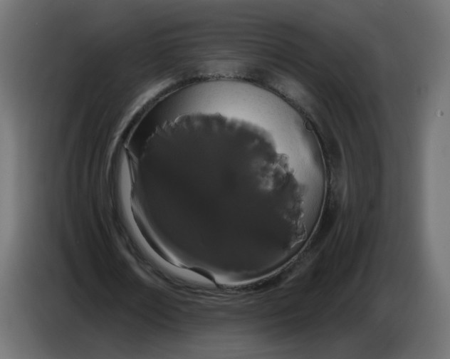 X0000086780674200705041528