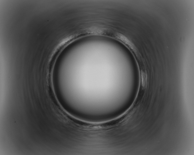 X0000086780675200705041528