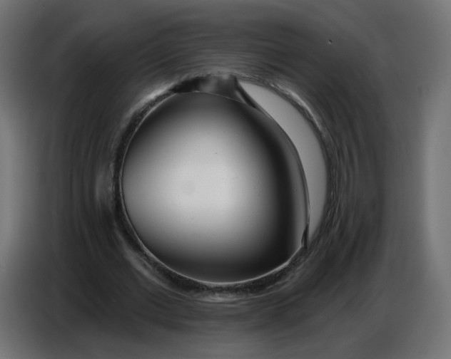 X0000086780677200705041528