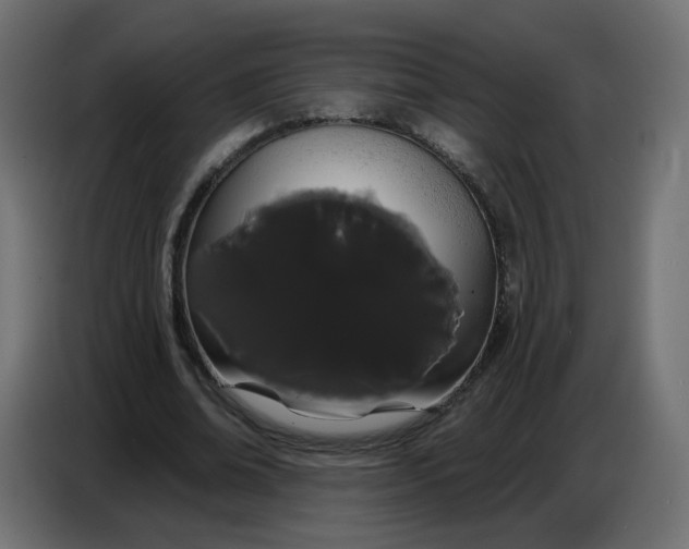 X0000086780678200705041528