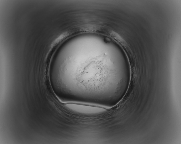 X0000086780679200705041528