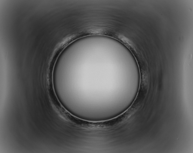 X0000086780682200705041528