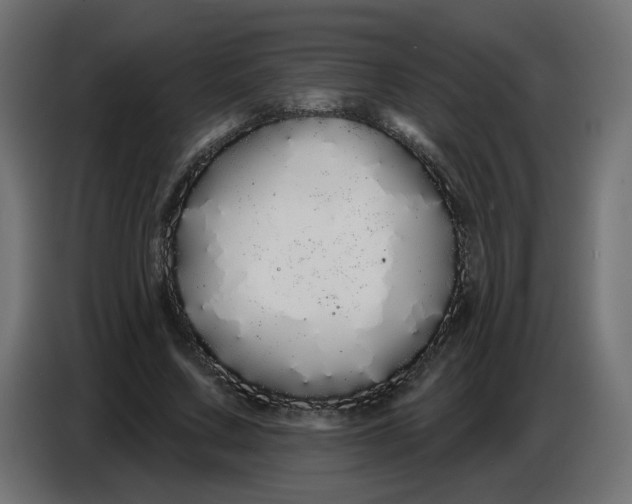 X0000086780683200705041528