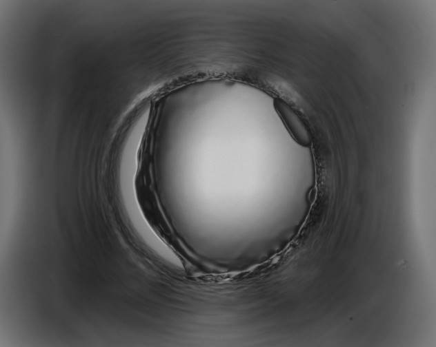 X0000086780684200705041528