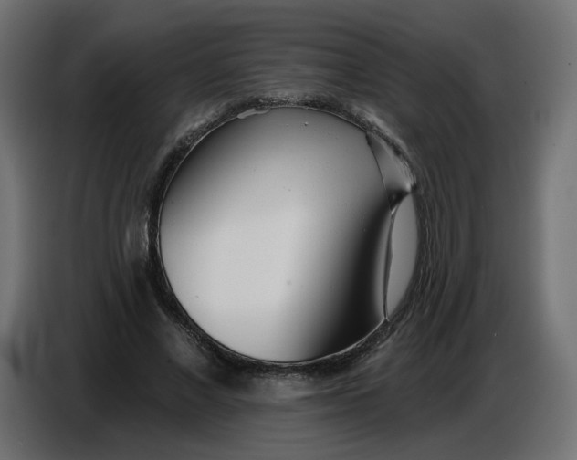 X0000086780685200705041528