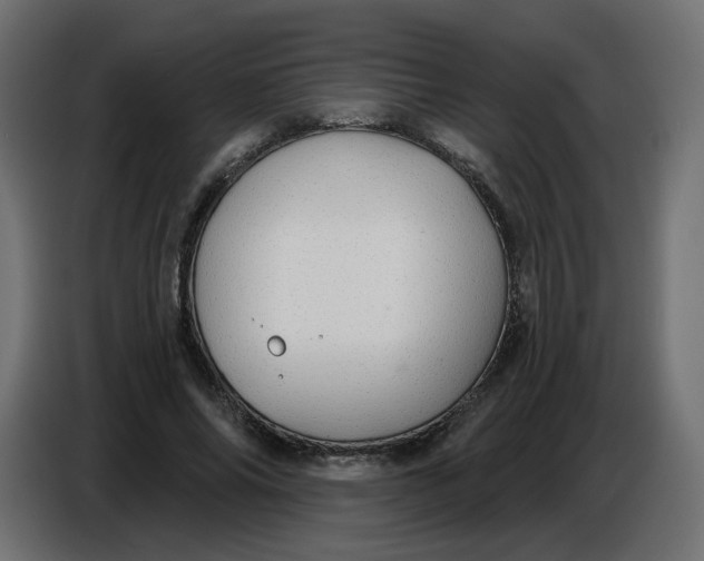 X0000086780686200705041528