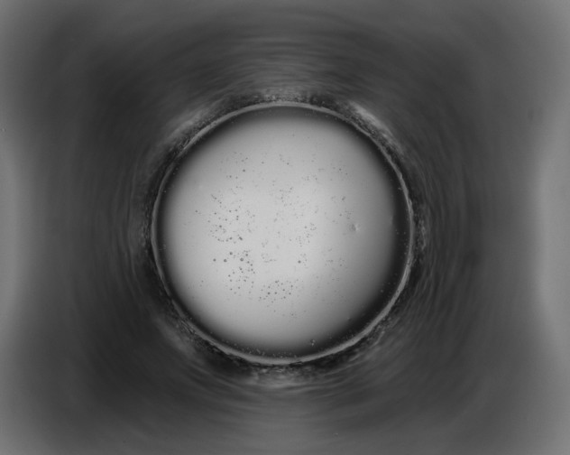 X0000086780687200705041528