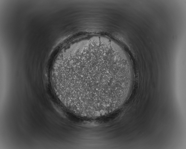 X0000086780688200705041528