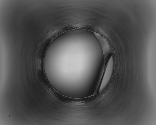 X0000086780689200705041528