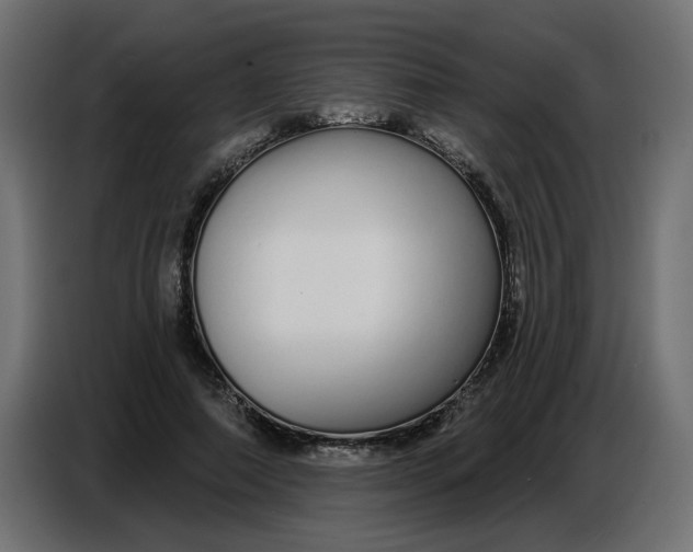 X0000086780690200705041528