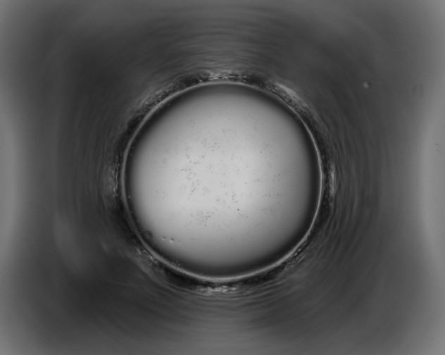 X0000086780691200705041528