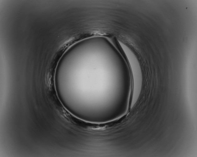 X0000086780692200705041528