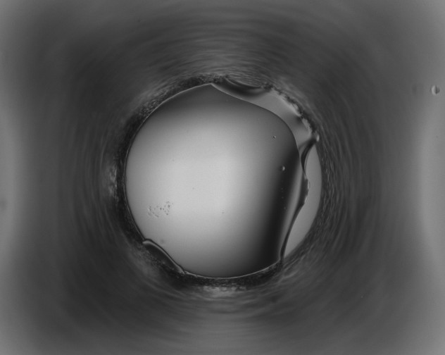 X0000086780693200705041528