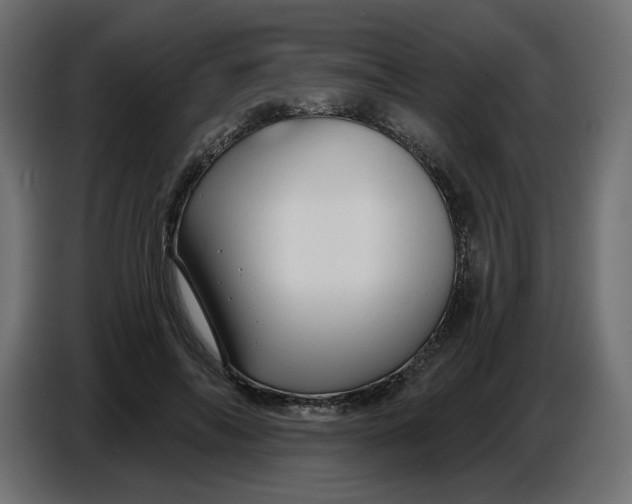 X0000086780694200705041528