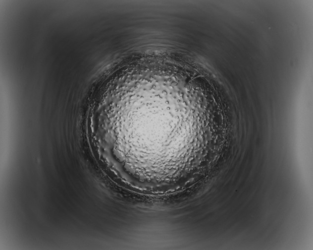 X0000086780696200705041528