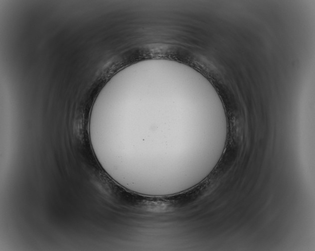 X0000086780698200705041528