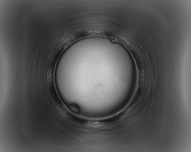 X0000086780699200705041528